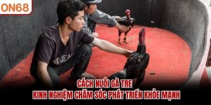cach-nuoi-ga-tre-kinh-nghiem-cham-soc-phat-trien-khoe-manh