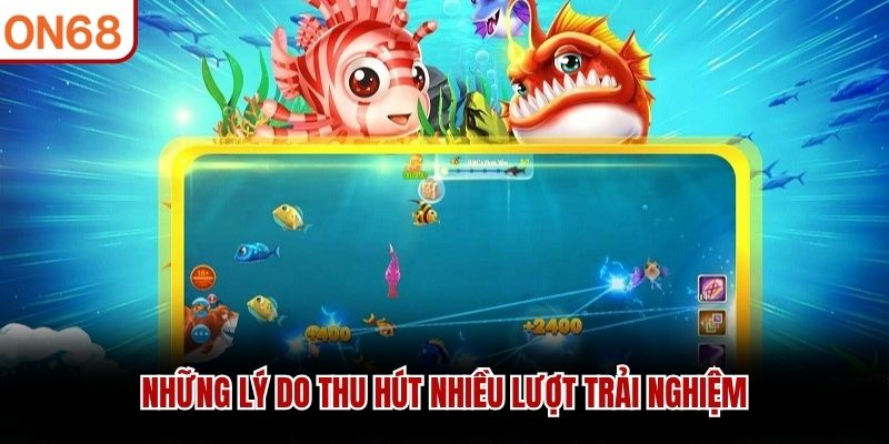 Những lý do thu hút nhiều lượt trải nghiệm